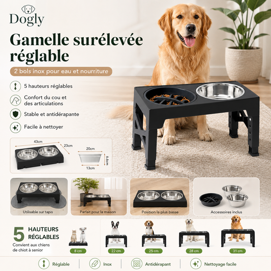 Gamelle Surélevée Réglable Dogly pour Chien