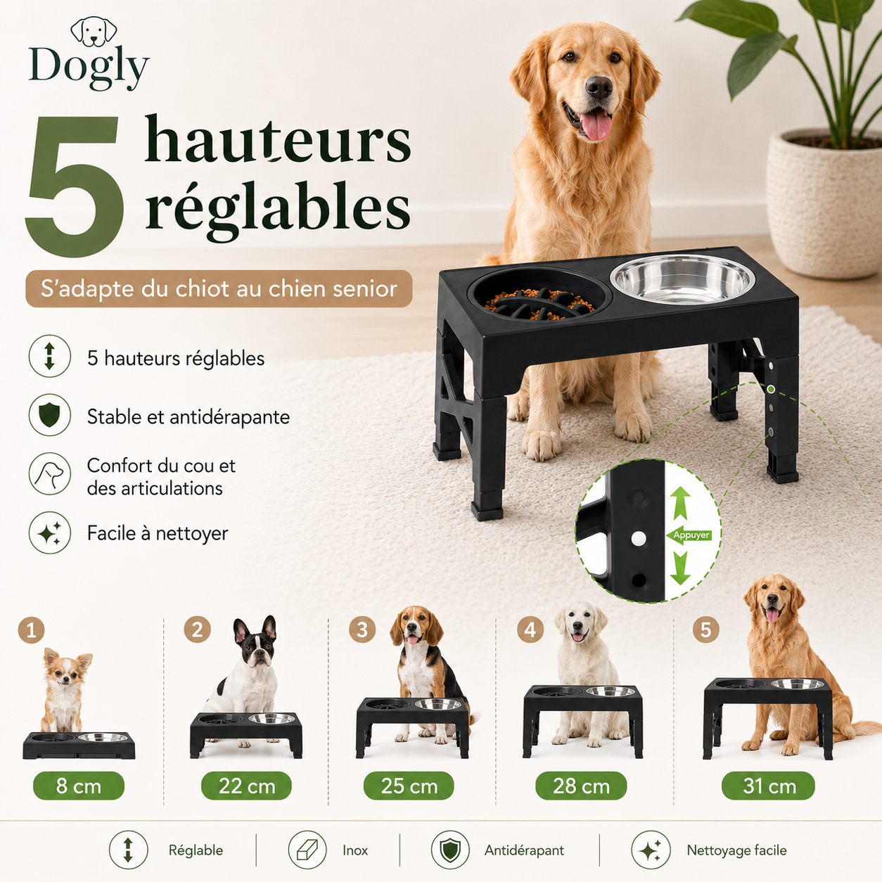 Gamelle Surélevée Réglable Dogly pour Chien